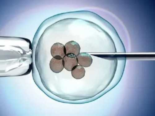 b超卵泡监测rf是什么-卵泡期白带发黄怎么护理,三代代怀机构