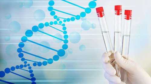 冬天试管影响成功率吗(冬天试管会影响着床吗)-三代助孕医院