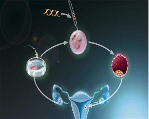 试管婴儿从检查到移植多长时间