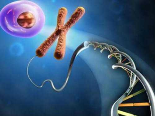 输卵管自测有9种方法，通过试纸5步骤就知道是否异常