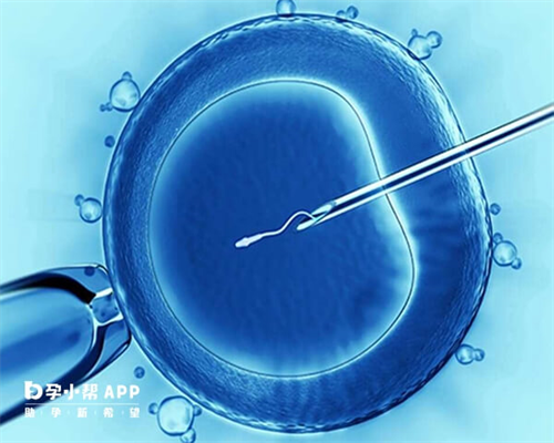 猪脚姜什么时候吃_猪脚姜的可以吃多久_猪脚姜的做法大全,供卵三代试管