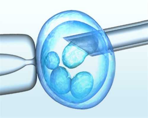 观察！女生捐卵好么＂铁公鸡＂