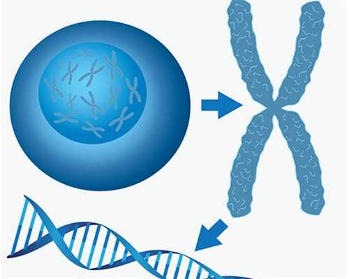 2026年河南省做第三代试管包生男孩需要多少费用？20万够吗