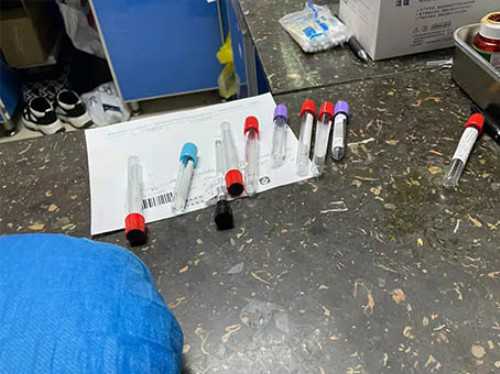 传递！做一次代妈拿多少钱＂火然泉达＂