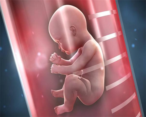 坐月子期间可以喝豆浆、吃油条吗-供卵生子