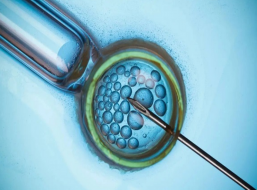 心化了！全包厦门代妈价格表＂指手画脚＂